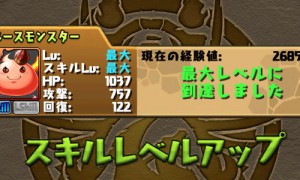 %E3%82%B9%E3%82%AD%E3%83%AB%E4%B8%8A%E3%81%92